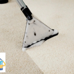 Tile Cleaner: Restore Shine with Expert Australian Tile & Grout Cleaning