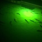 Green Underwater Fishing Light: Illuminate Docks & Night Fishing