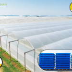 BOPP Clear Tape UAE for Packaging & Sealing – Ajab Shah Plastics