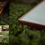 Metal Garden Edging: Durable, Elegant Borders for Your Yard