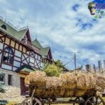 Moldova Tour Guide: Best Experiences, Tips, and Trips