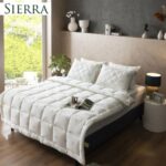 Women’s Fashion Trends USA: The Latest Styles You Need Now