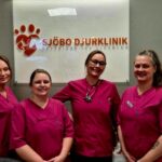 Omtänksam avlivning av katt i Ystad – Sjobodjurklinik.se