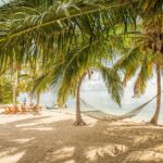 Fly Fishing Bonefish: A World-Class Angling Adventure