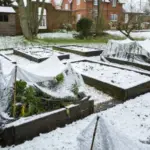 Aesthetic Homesteading at Home: Charm, Craft and Slow Living