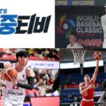 야구의 밤, 꿈꾸는 이들의 응원 이야기