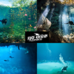 Scuba Tulum: Discover Underwater Wonders with Go Godivemexico