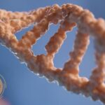 Couple Counselling Malaysia: Rebuild Communication & Trust