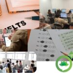 Online Foundation Course: Build Your Academic Base with Confidence