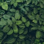 Landscape Gardeners South West London | Stunning Outdoor Spaces